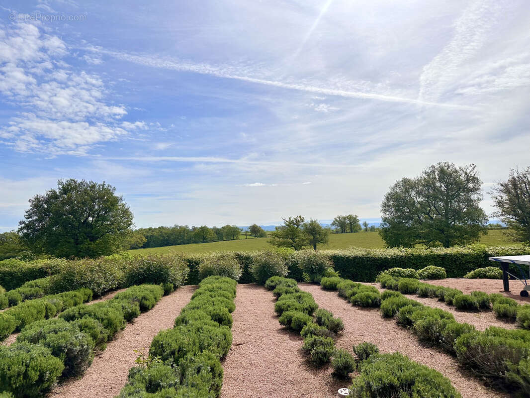 Maison à MONTAIGUET-EN-FOREZ