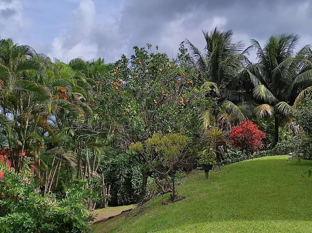 STE LUCE : Belle maison T3 avec vue sur mer - photo 10