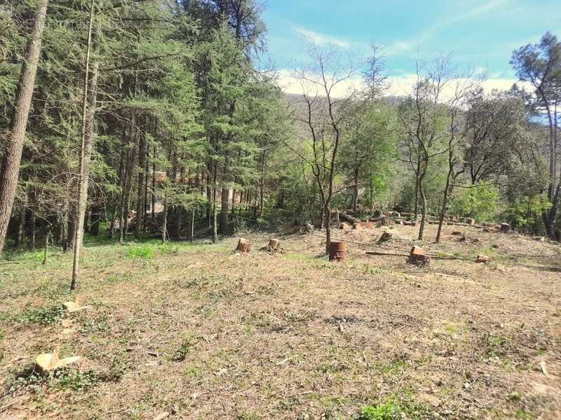 Terrain à SAINT-AMBROIX