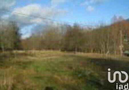 Photo 2 - Terrain à HARSAULT