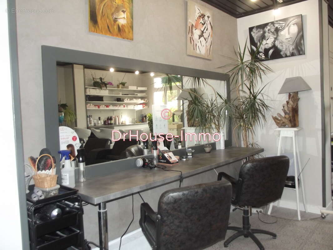 Commerce à ARCACHON