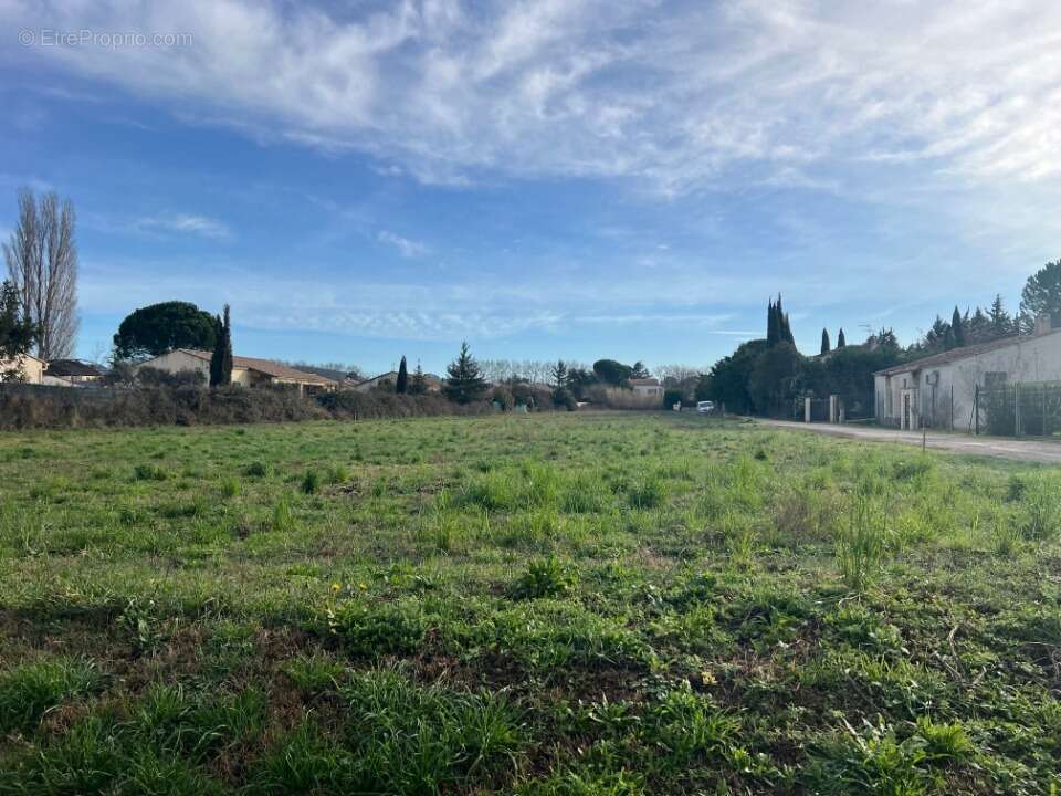 Terrain à FONTVIEILLE