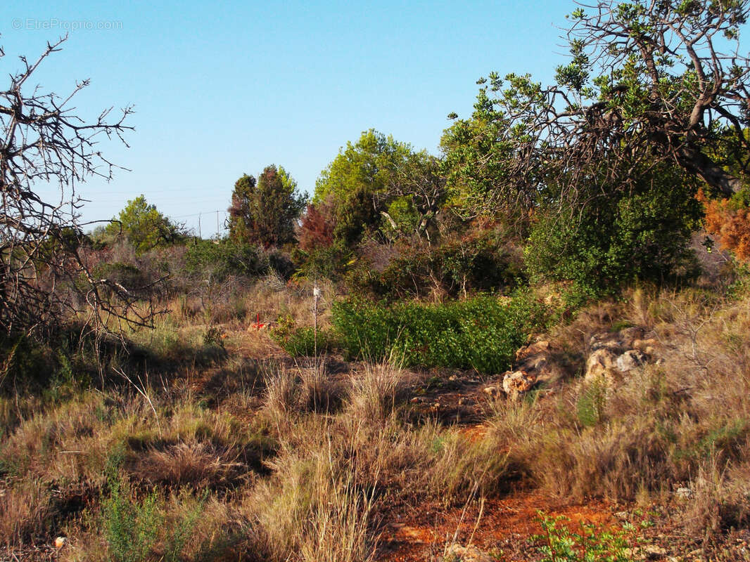 Terrain à PERPIGNAN