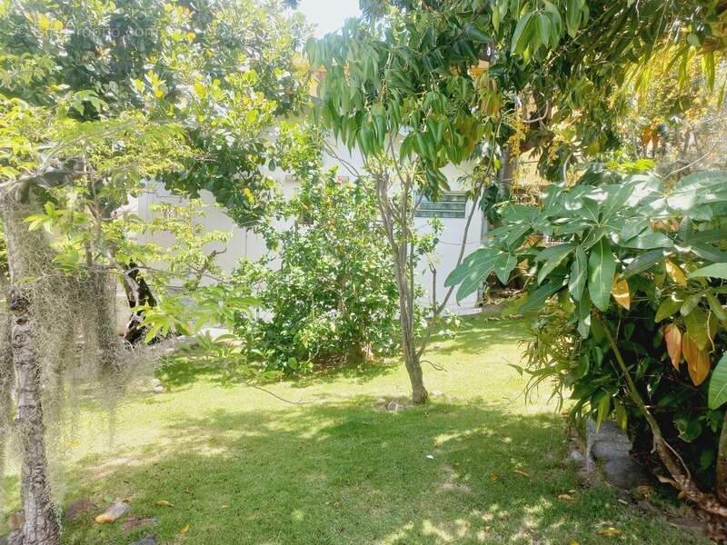 Maison à vendre 6 pièces BASSE TERRE (971) - photo 2