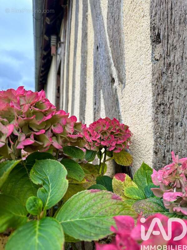 Photo 8 - Maison à EVREUX