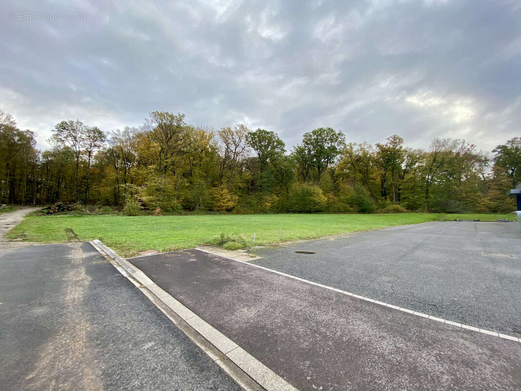 Appartement à SARREGUEMINES