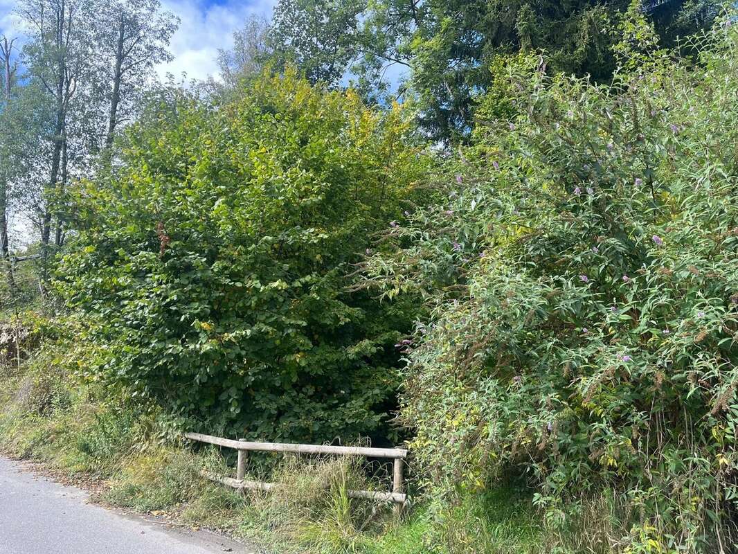 Terrain à LES HOUCHES