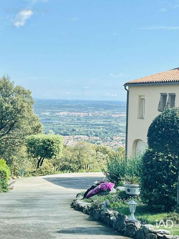 Maison 205 m² à Ceret  - photo 9