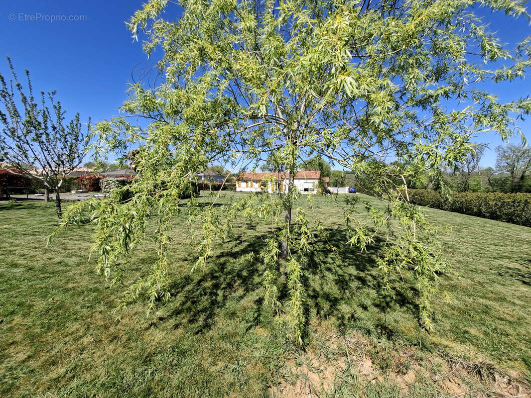 Maison à FOULAYRONNES