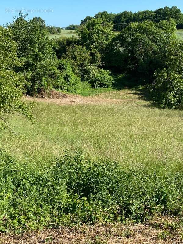 Terrain à RUELLE-SUR-TOUVRE
