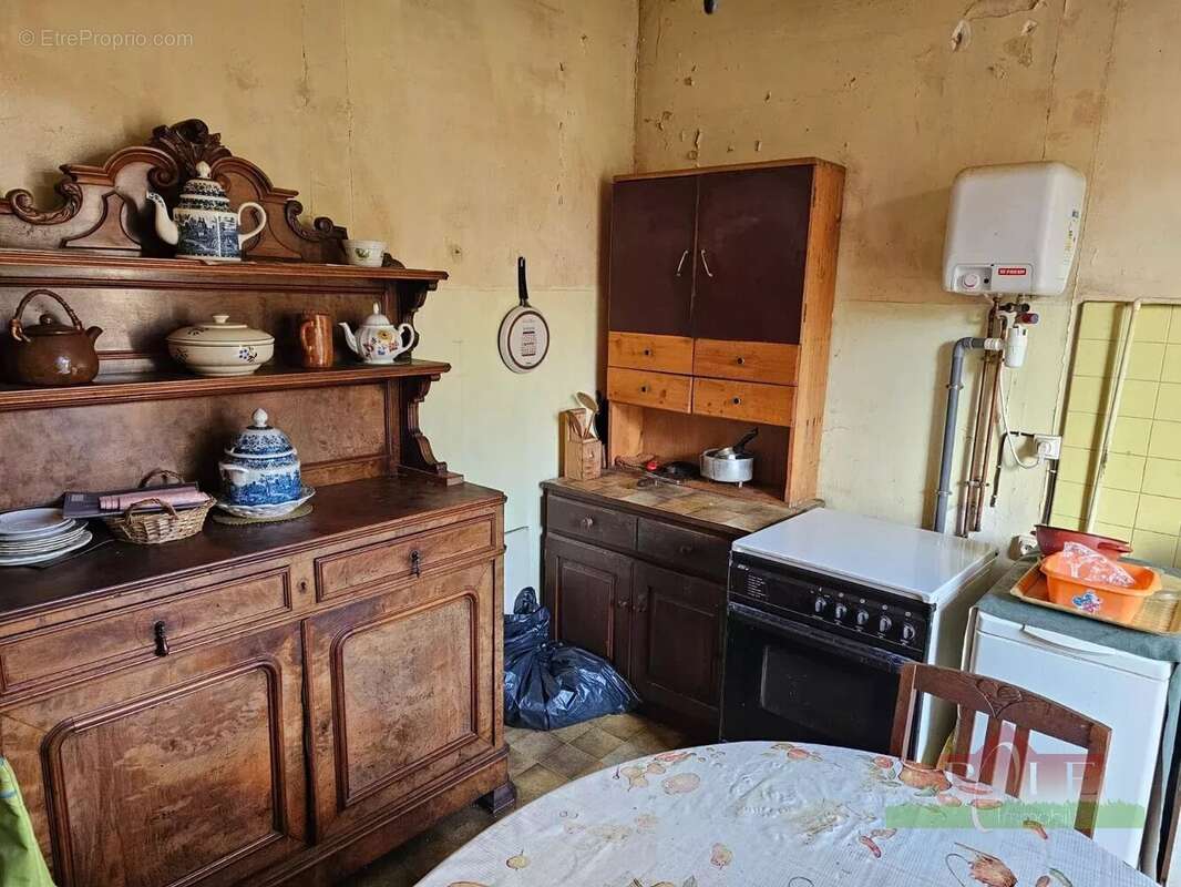 VIENNE, Immeuble Bourgeois de 360m² avec terrain de 830m² - photo 4