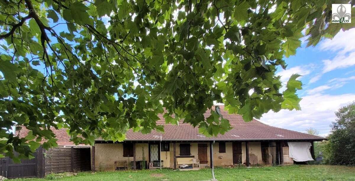 Maison à LOUHANS