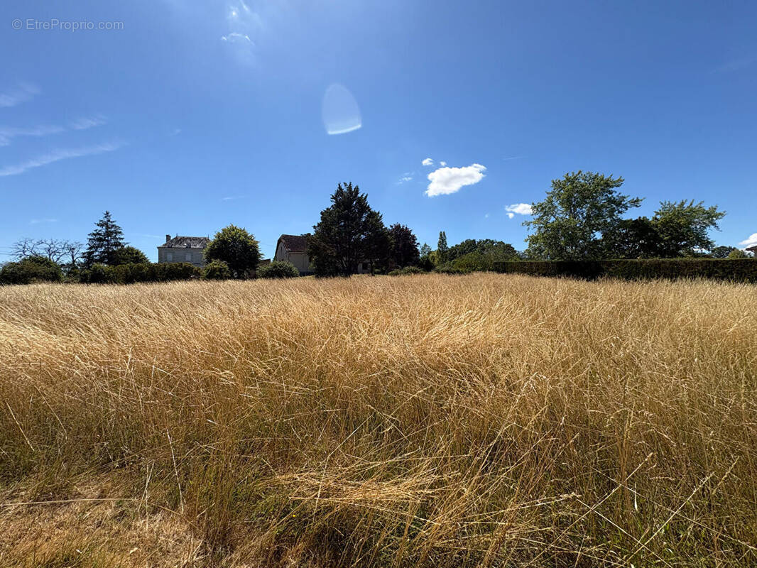 Terrain à LA ROCHE-POSAY