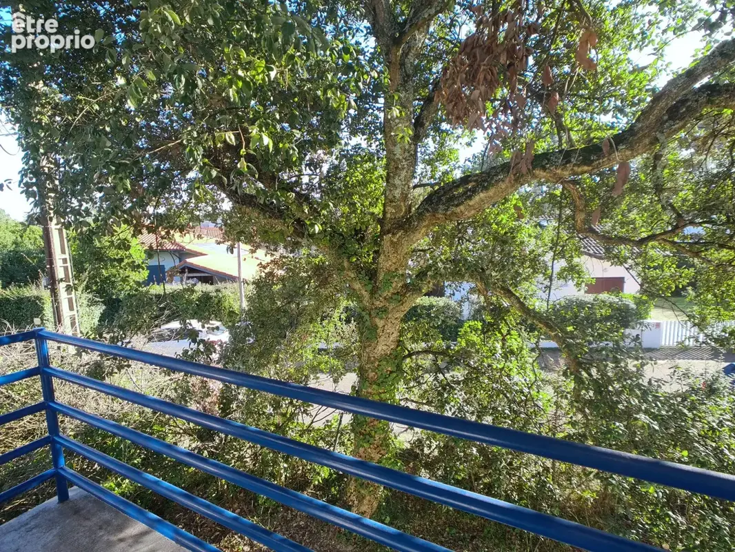Maison T6 CAPBRETON quartier BOUHEBEN 130m2 + T1 de 23m2 + garage 16m2 + Pool House 15m2 - photo 14