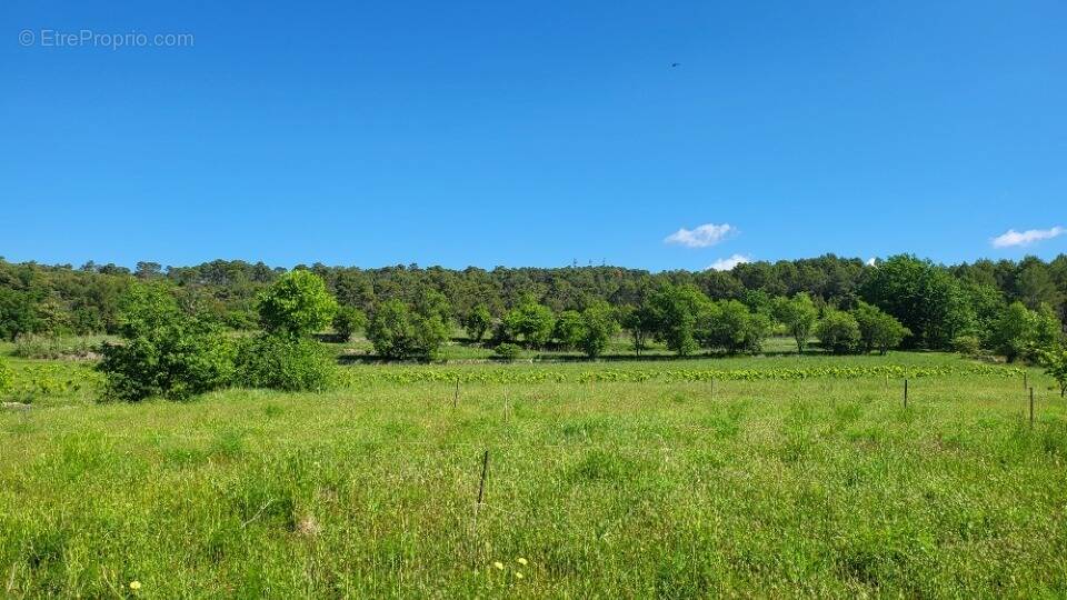Terrain à CARCES