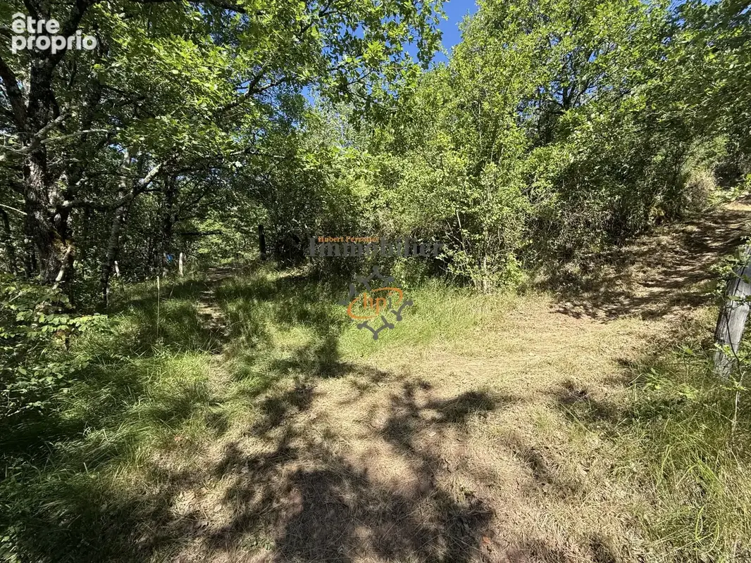 Vente remise avec  2,45 hectares de terrains Versols-et-Lapeyre - photo 25