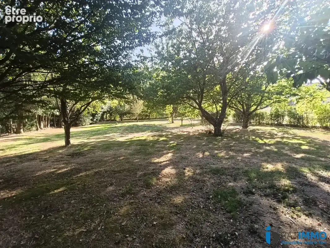 Terrain 1 386 m² à vendre à Mazamet (81200) - photo 2