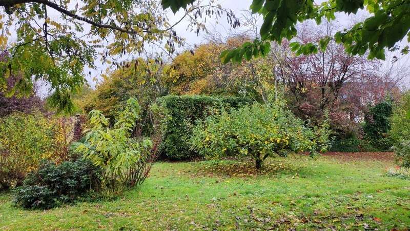 Maison de caractère-135 m2-Terrain-Brion près Thouet (79) - photo 4