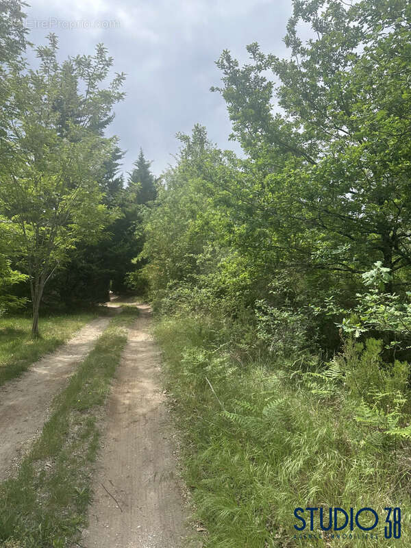 chemin du terrain agricole
