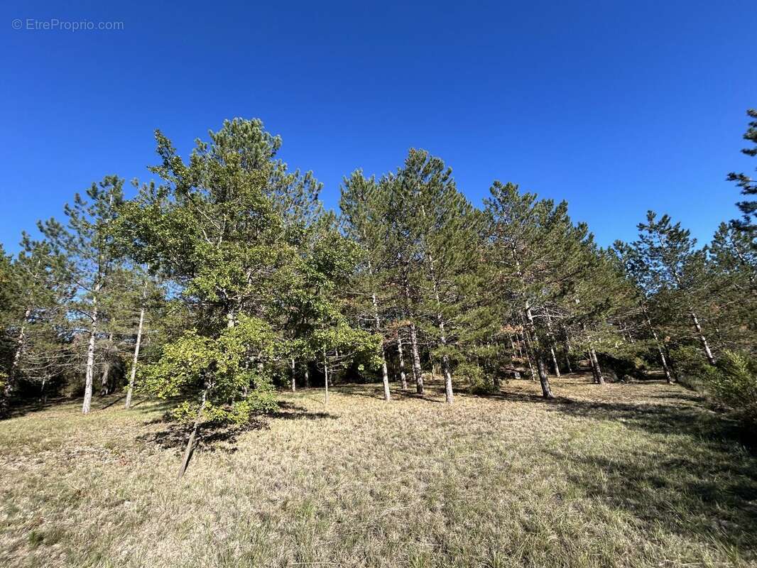 Terrain à LUC-SUR-AUDE