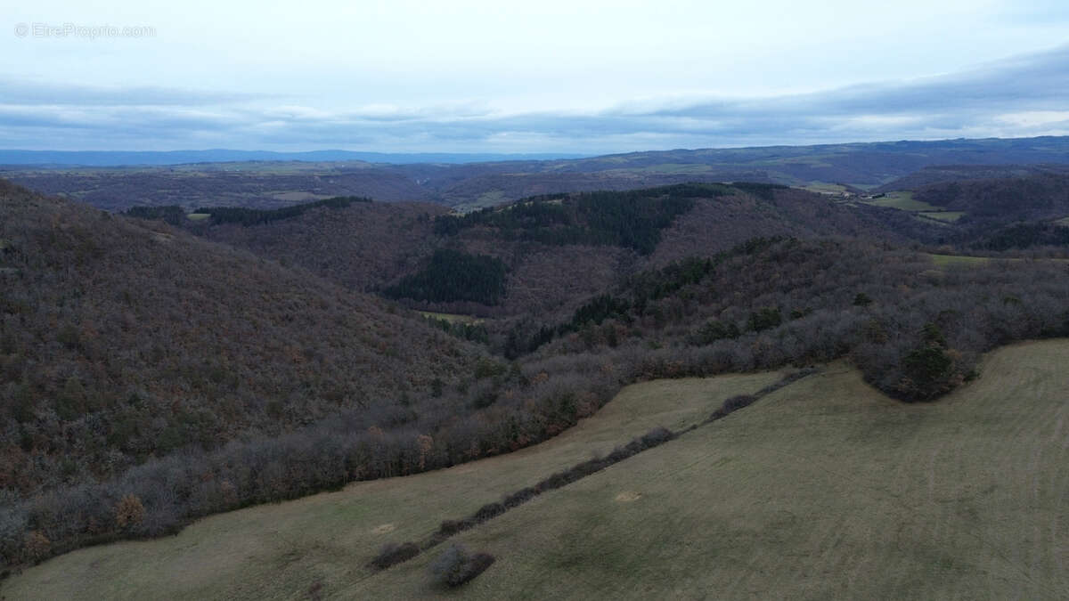 Terrain à AURIAC-L'EGLISE