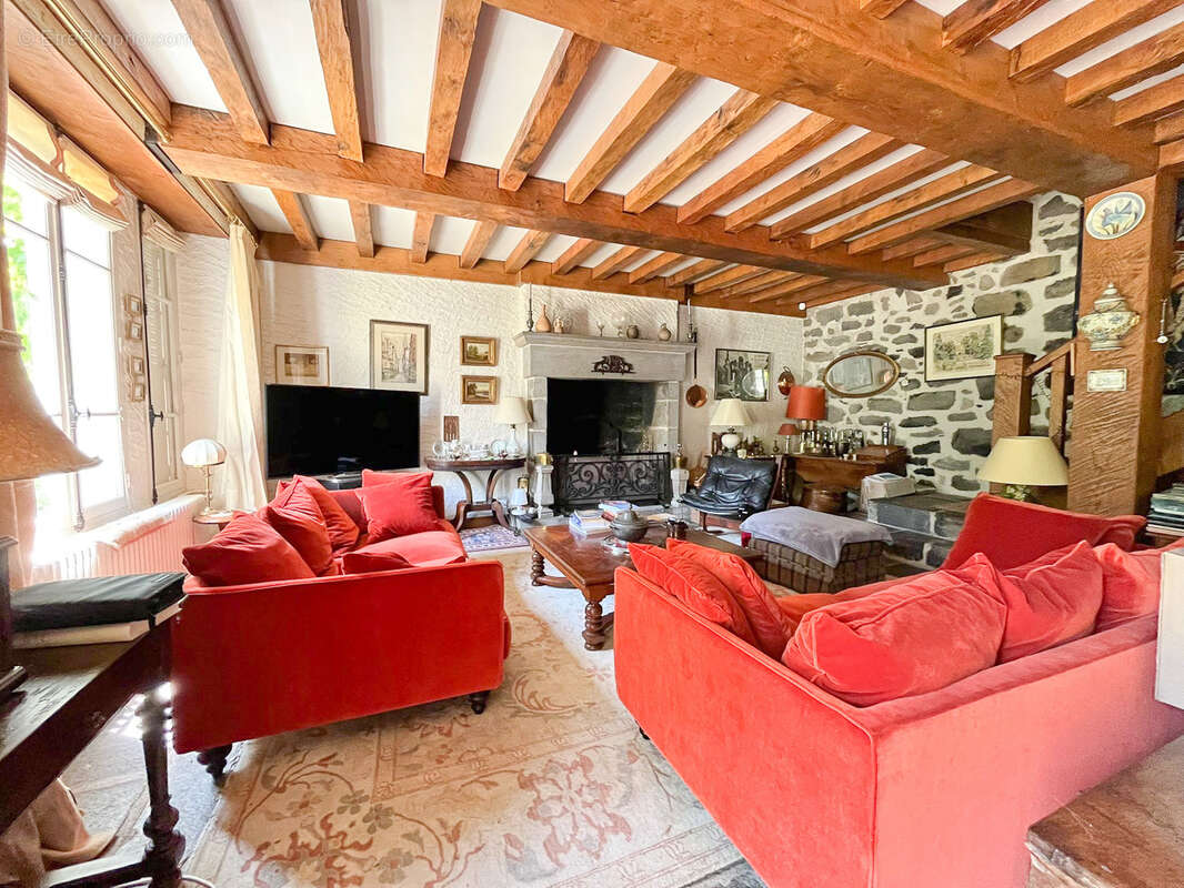 CANTAL, Château des Sources à vendre - photo 2