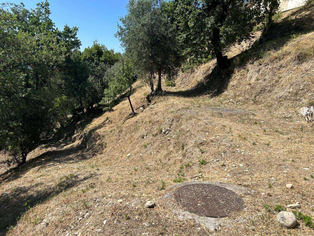 Terrain à CASTAGNIERS