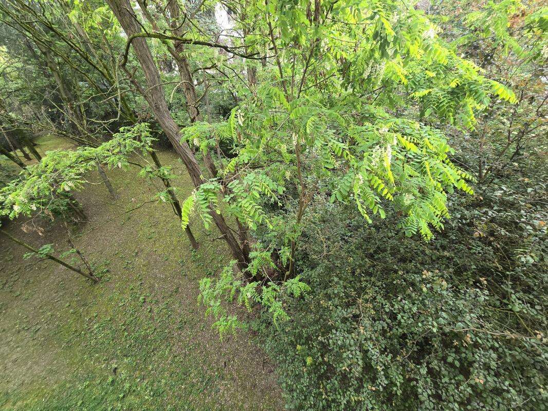 Appartement - photo 12