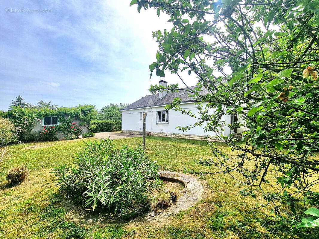 Maison à CHATEAUNEUF-SUR-SARTHE