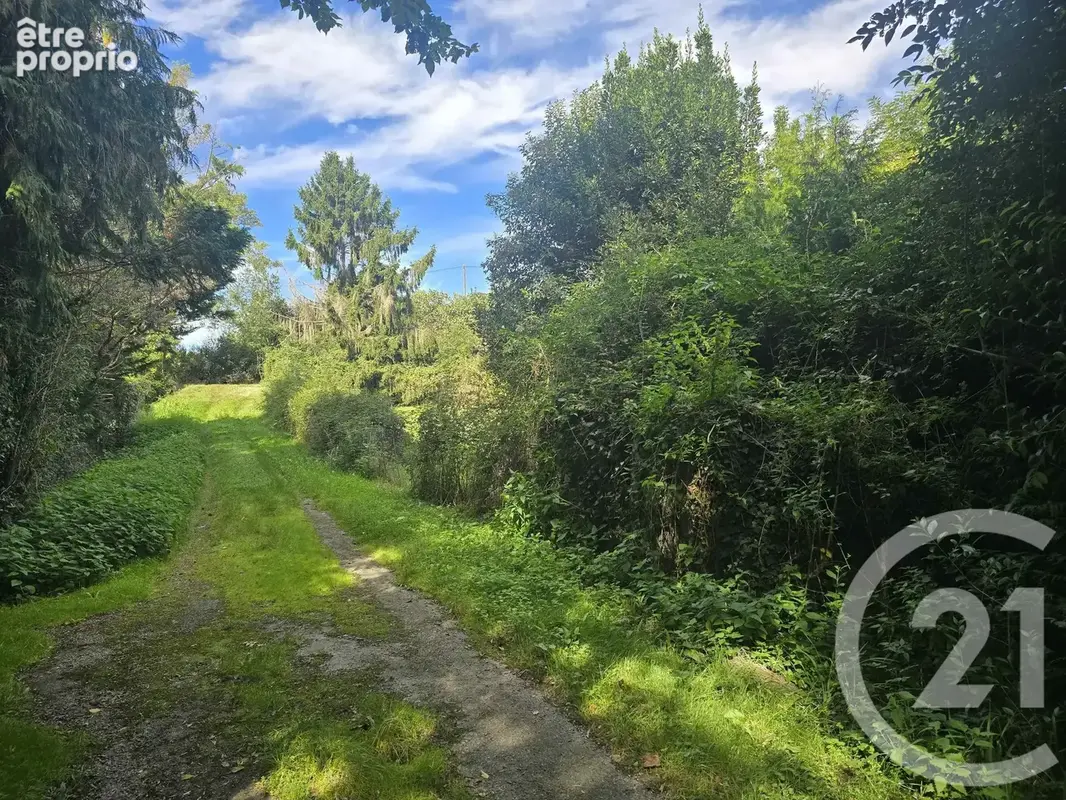 Terrain 520 m² à vendre à Carbonne (31390) - photo 11