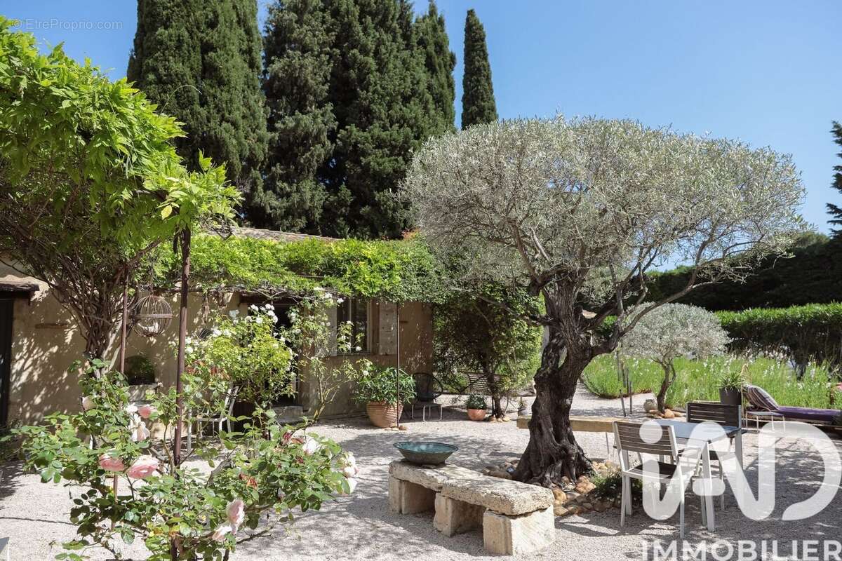 Photo 3 - Maison à CHATEAUNEUF-DU-PAPE