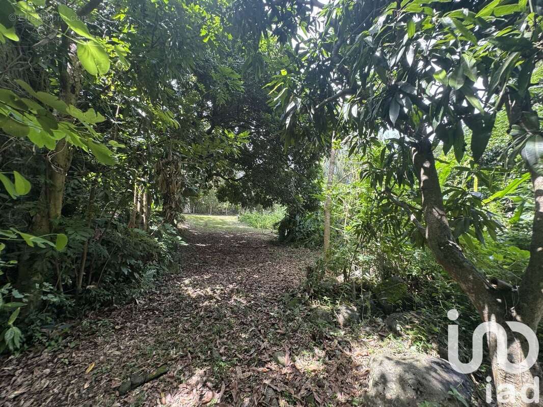 Photo 6 - Terrain à SAINT-PAUL