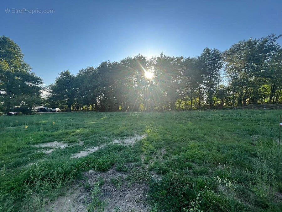Terrain à LEZOUX