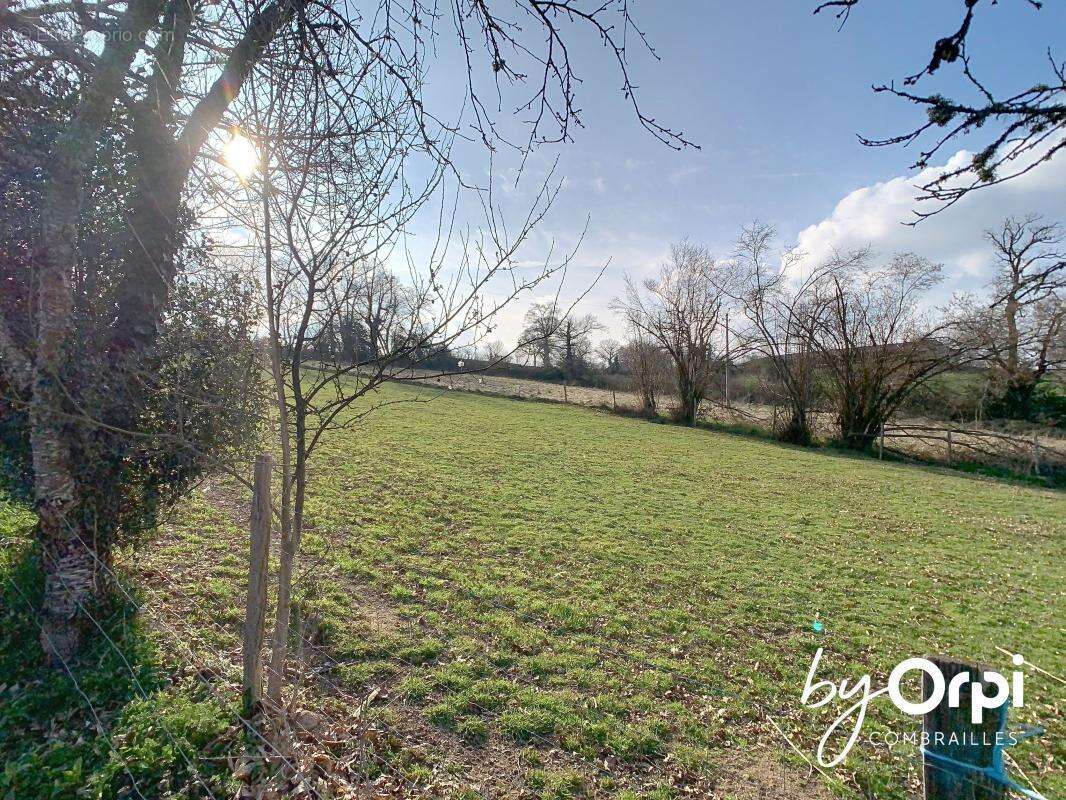 Maison à CHATEAU-SUR-CHER