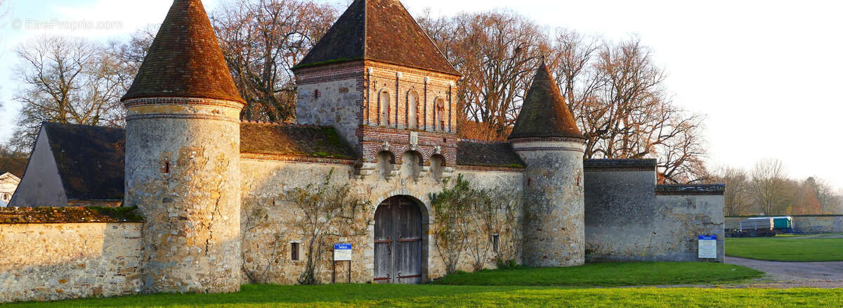 Belle propriété bourguignonne et son jardin de 1150 m2 à l'Est de Sens - photo 30
