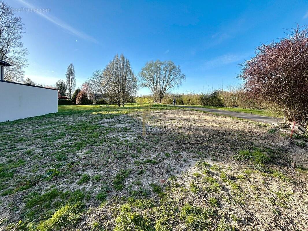 Terrain à SAILLY-LEZ-LANNOY