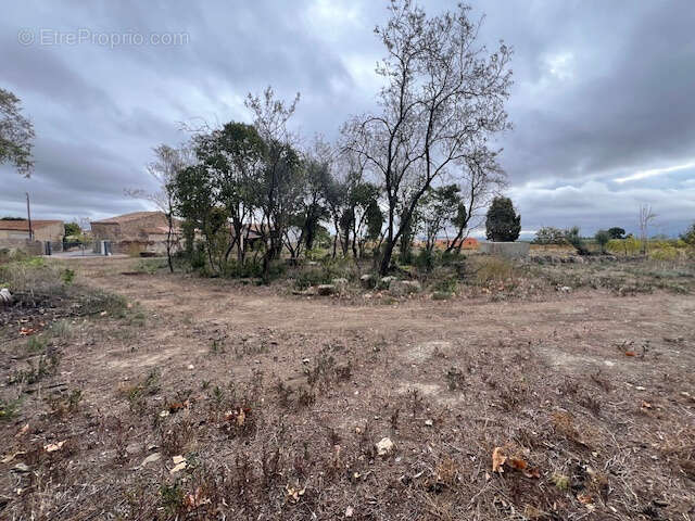 Terrain à AZILLE