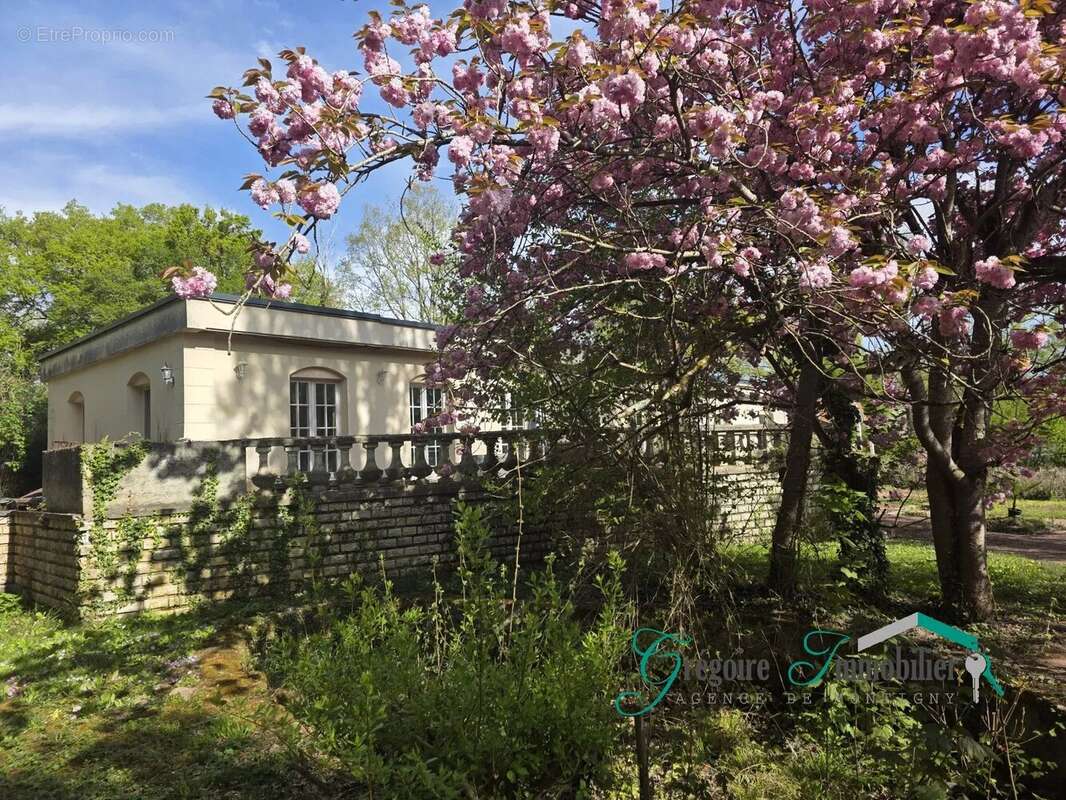 Maison à MONTIGNY-SUR-LOING