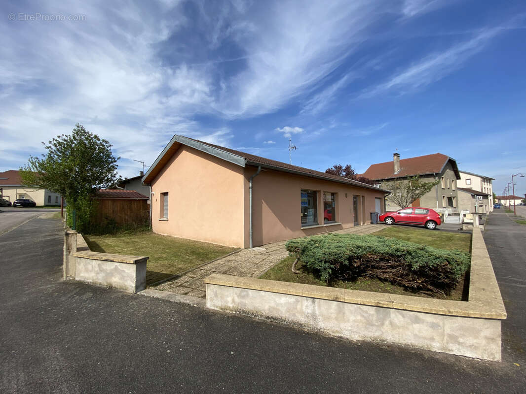 Local professionnel 54450 Bénaménil - photo 2