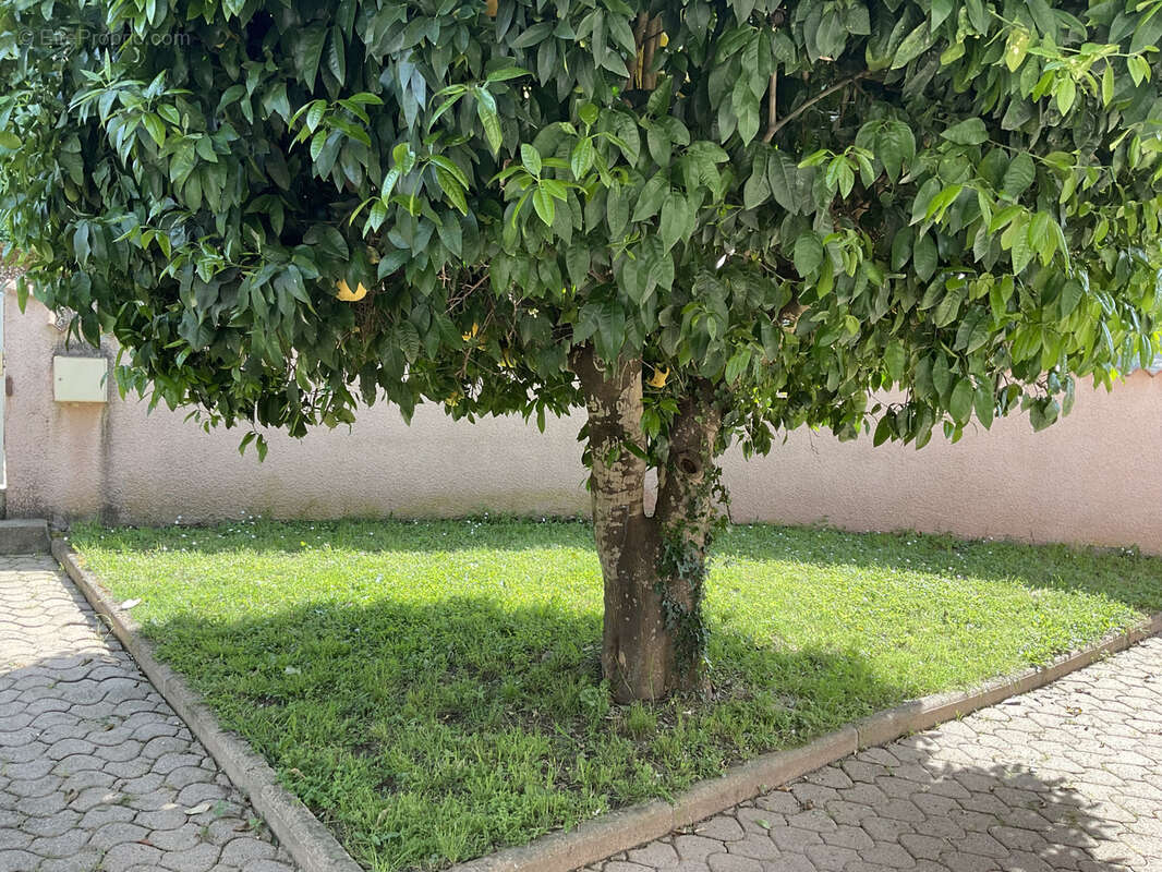 Maison à PRUNELLI-DI-FIUMORBO