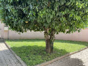 Maison à PRUNELLI-DI-FIUMORBO