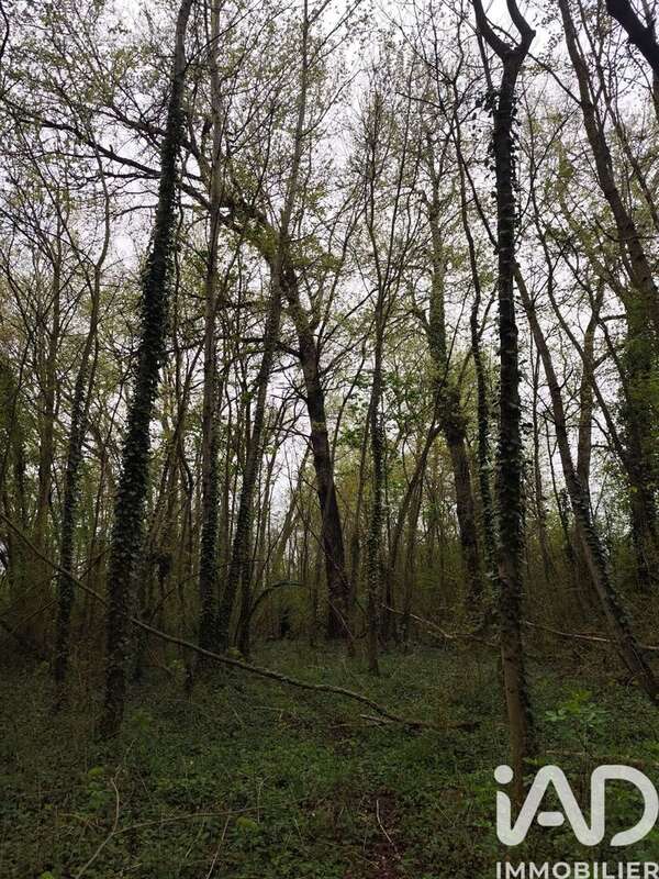 Photo 2 - Terrain à MARLES-EN-BRIE