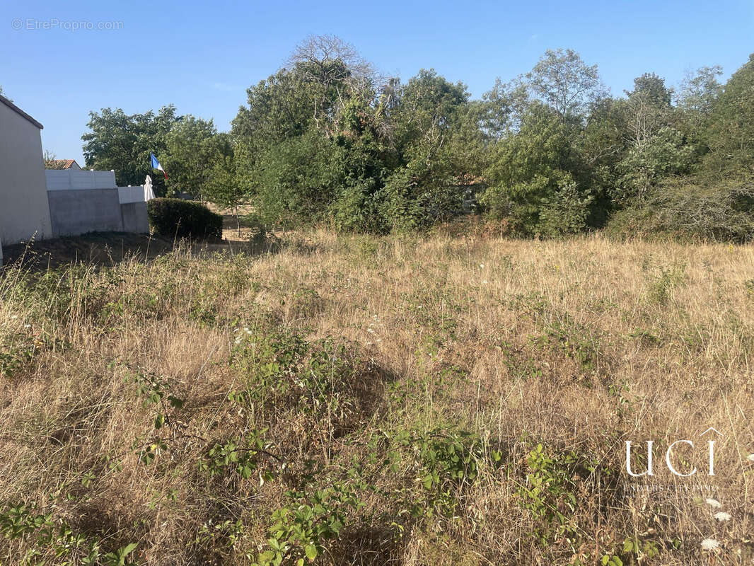 Terrain 819 m² à Corcoue-Sur-Logne  - photo 3
