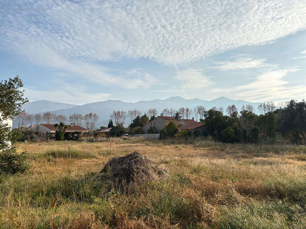 Terrain à MONTESQUIEU-DES-ALBERES