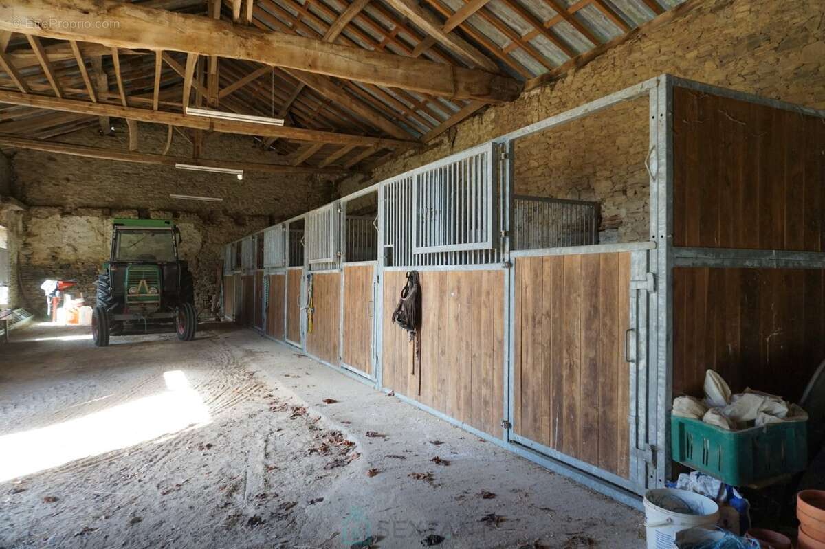 Maison à SAINT-JORY-DE-CHALAIS