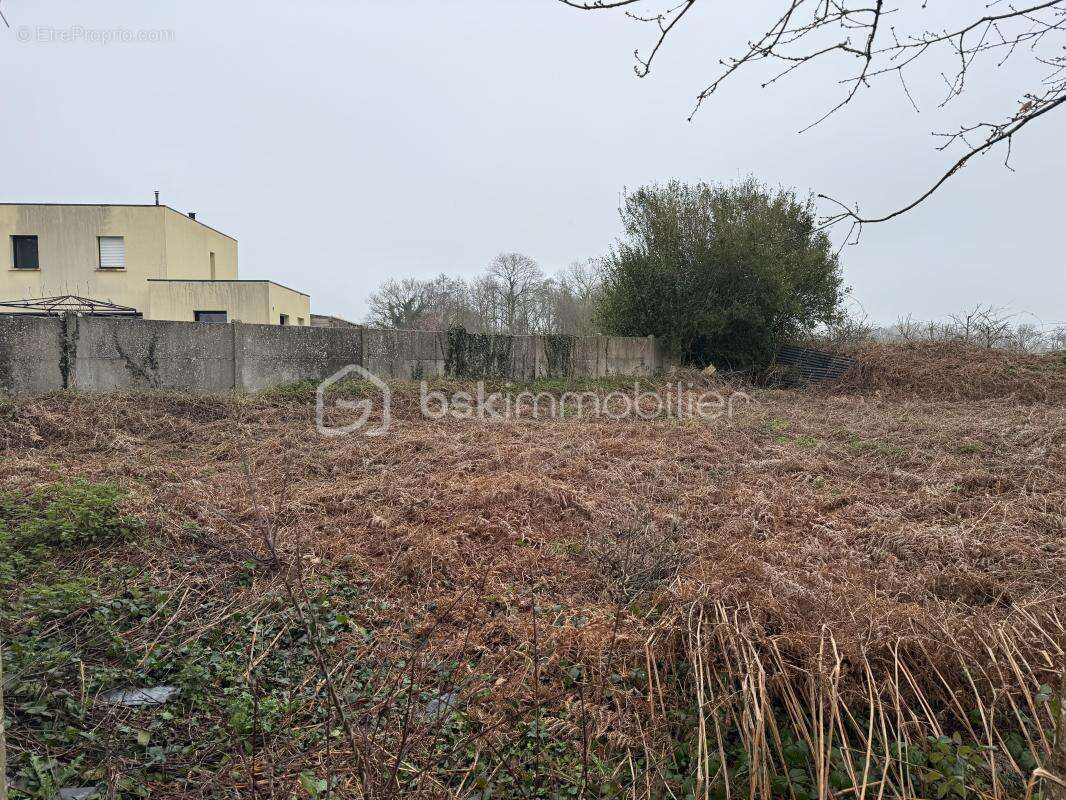 Terrain à TONQUEDEC