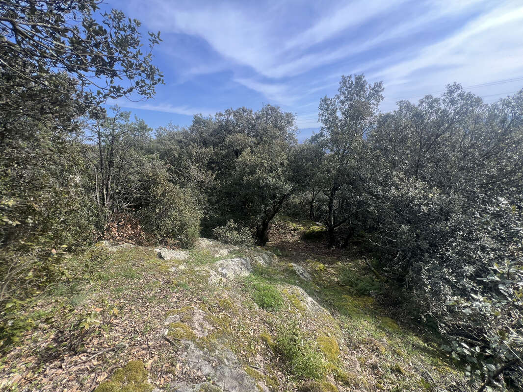 Terrain à SAINT-PERAY