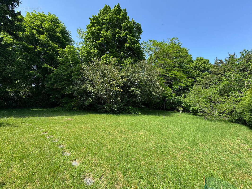 Maison à MONTFORT-L'AMAURY