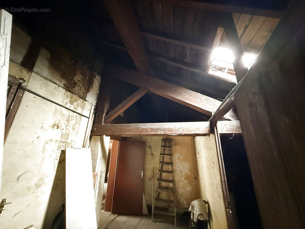 Autre à SAINT-ETIENNE