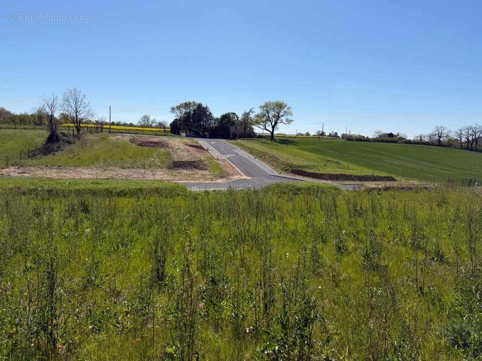 Terrain à MONTDRAGON